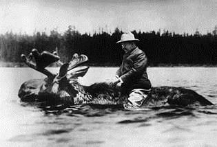 Teddy Roosevelt riding a moose.